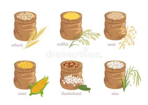 Illustration des Puffprozesses von Getreidekörnern