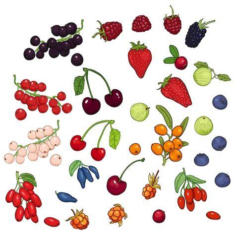 Illustration verschiedener Beeren und laktosefreie Zutaten für Torten