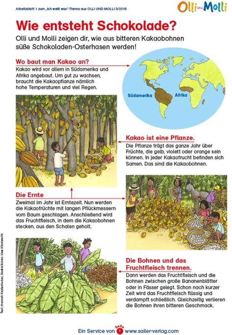 Illustrationen: Vom Regenwald zur fairen Schokolade für den Unterricht