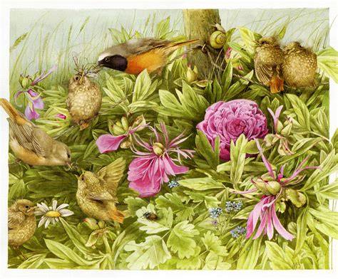 Illustrationen von Marjolein Bastin: Naturmotive