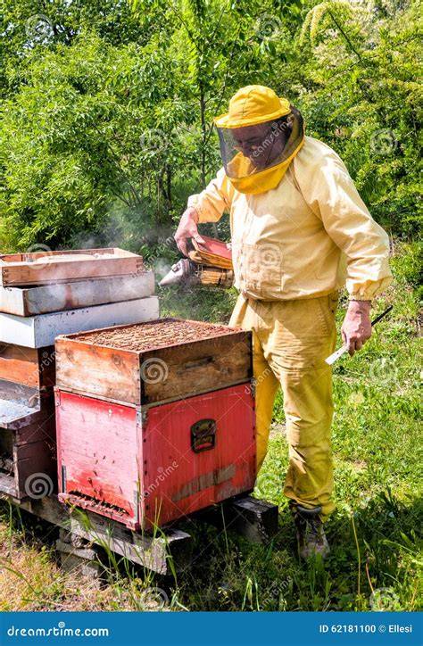 Imker bei der Arbeit mit Bienenstöcken