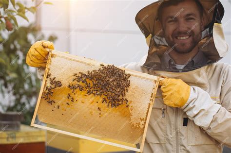 Imker bei der Honigernte und Bienenstockpflege