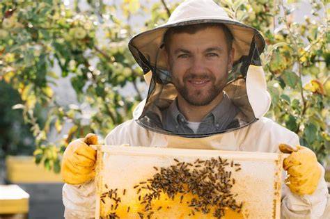 Imker bei der Manuka-Honigernte in Neuseeland