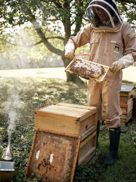 Imker bei der Pflege eines Bienenstocks