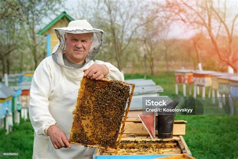 Imker misst die Futtermenge am Bienenstand
