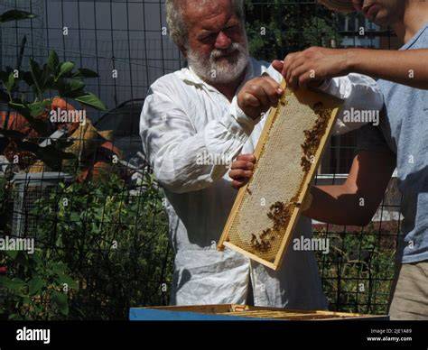Imker mit Bienenstöcken