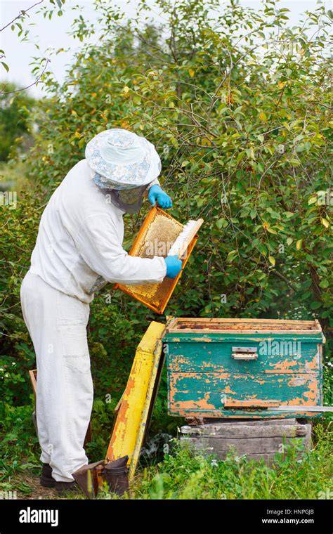 Imker mit Bienenstock