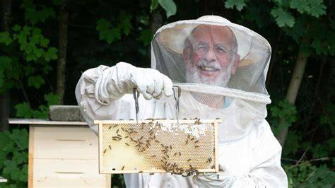 Imker wiegt Bienenstock nach der Ernte