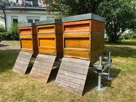 Imkerei Übersicht: Bienen am Flugloch und Beuten