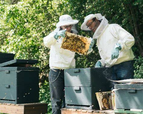Imkergruppe bei der Arbeit an Bienenkästen in der Werkstatt