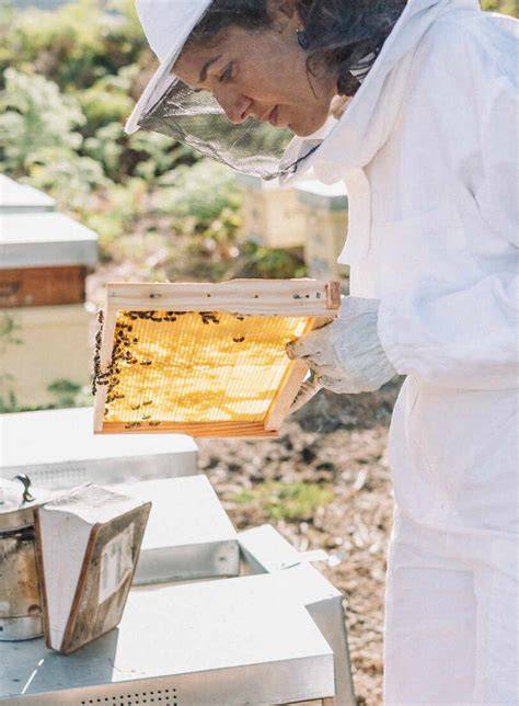 Imkerin bei der Arbeit zwischen Bienenstöcken