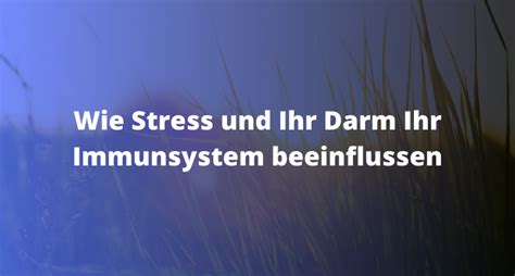 Immunsystem stärken: Ernährung und Stressmanagement