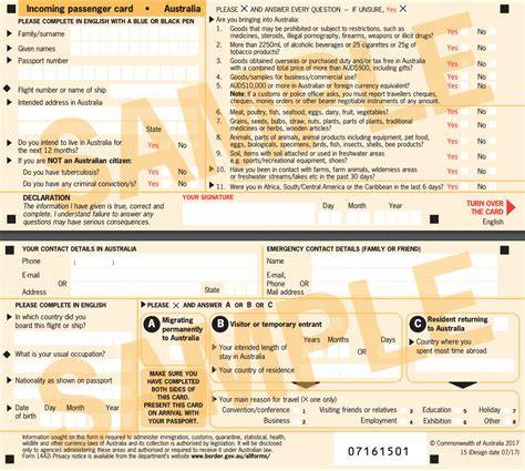 Incoming Passenger Card (IPC) Formular Beispiel