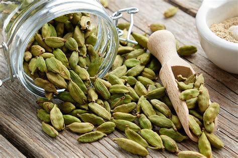Indische Gewürze: Kardamom, Safran, Zimt, Rosenwasser