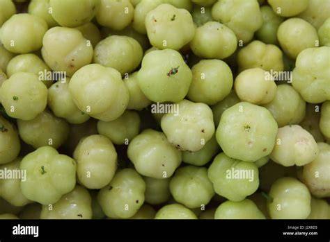 Indische Stachelbeeren (Amla) als Hauptzutat von Chyawanprash