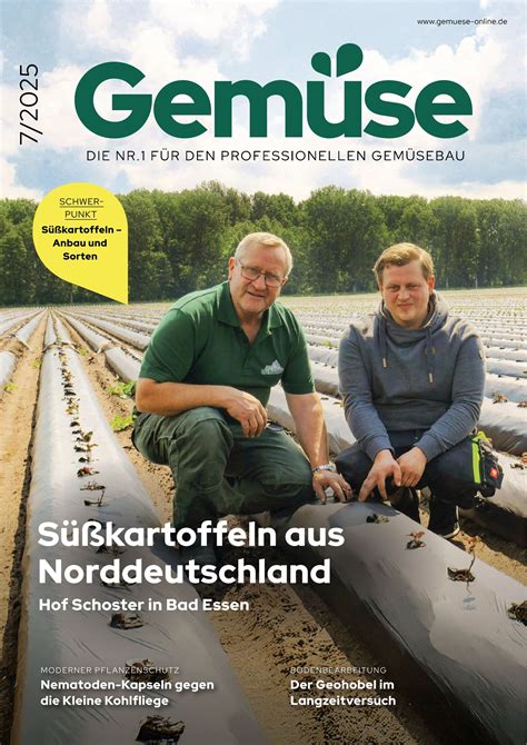 Industrielle versus handwerkliche Pralinenherstellung, Zutatenvergleich