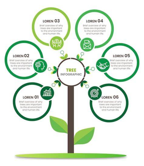 Infografik: Überblick über Fondant-Arten, Zutaten und Anwendungen