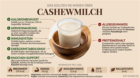 Infografik: Überblick über Kakaoverarbeitung, Cashew- und Kakaobutterauswahl