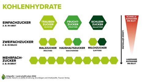 Infografik: Überblick Kohlenhydrate - Einfach-, Zweifach- und Mehrfachzucker