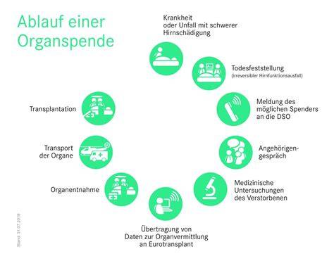 Infografik: Ablauf einer effektiven Marinade