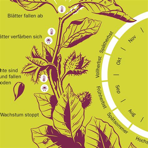 Infografik: Airbrush-Farbverlauf in Sonnenuntergangstönen und Fondant-Silhouetten