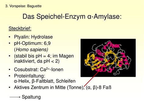 Infografik: Amylase im Speichel und Pflanzendrink
