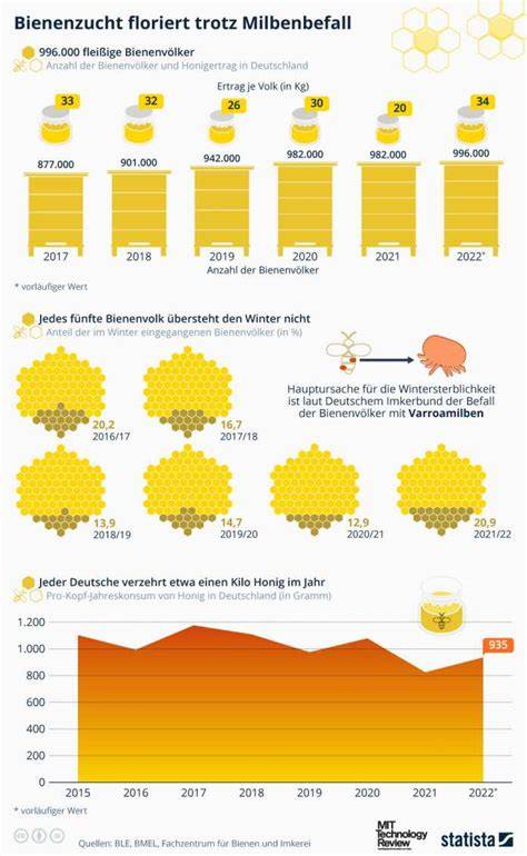 Infografik: Anforderungen für Honigverkauf im Supermarkt