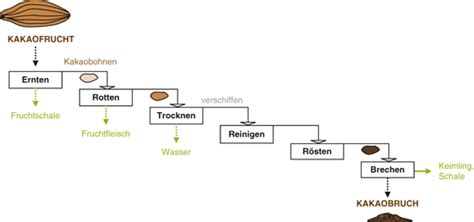 Infografik: Arbeitsschritte von der Ganache bis zur fertigen Praline