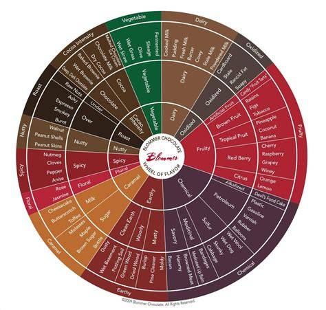 Infografik: Aromenrad Schokolade-Kaffee-Nuss für Pairing