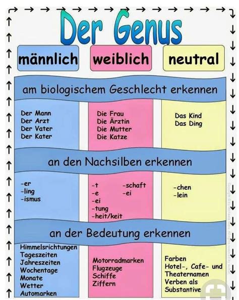 Infografik: Artikel und Genus im Deutschen mit Fokus auf „der Keks“