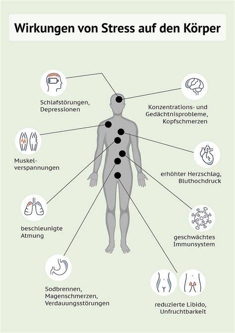 Infografik: Atemtechniken und ihr Einfluss auf Stress und Stoffwechsel