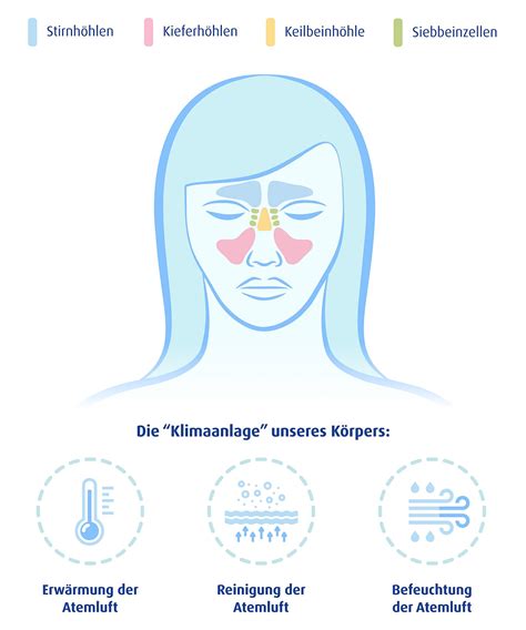 Infografik: Aufbau der Bier-Honig Marinade und ihrer Bestandteile