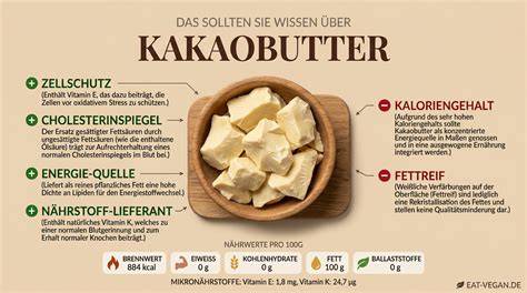 Infografik: Aufbau der Kakaobohne, Gewinnung von Kakaobutter und Rolle in weißer Schokolade