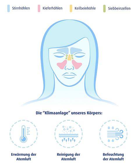 Infografik: Aufbau einer Gläser-Marmelade und Gelierprobe