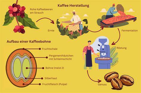 Infografik: Aufbau einer Kaffee-Ganache-Praline (Schale - Guß - Füllung - Dekor)