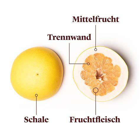 Infografik: Aufbau einer Pomelo (Schale, Albedo, Segmente)