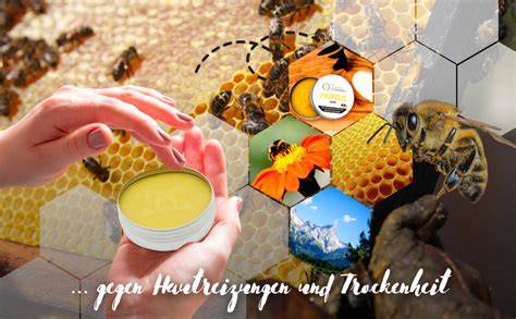 Infografik: Aufbau einer Salbe aus Honig, Olivenöl und Bienenwachs