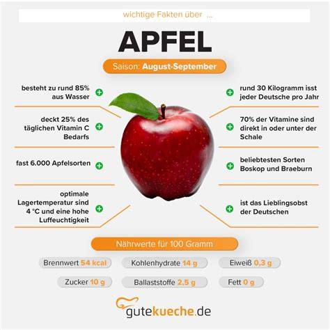 Infografik: Aufbau eines Bio-Ketchups - Inhaltsstoffe, Herkunft, gängige Süßungsmittel