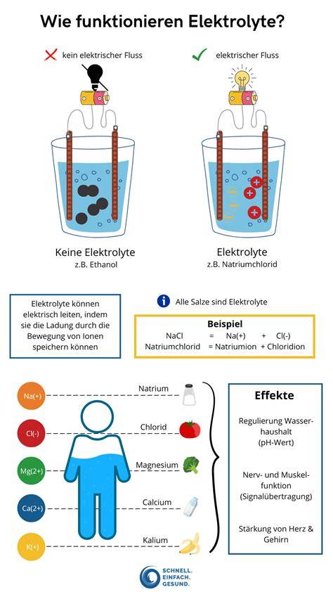 Infografik: Aufnahme von Flüssigkeit und Elektrolyten bei isotonischen Getränken