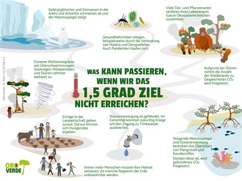 Infografik: Auswirkungen des Kakaoanbaus auf Regenwald und Klima
