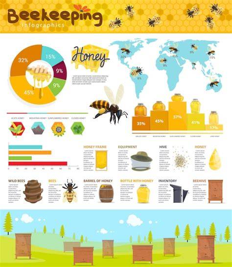 Infografik: Auswirkungen von Honigproduktion auf Wildbienen und Umwelt