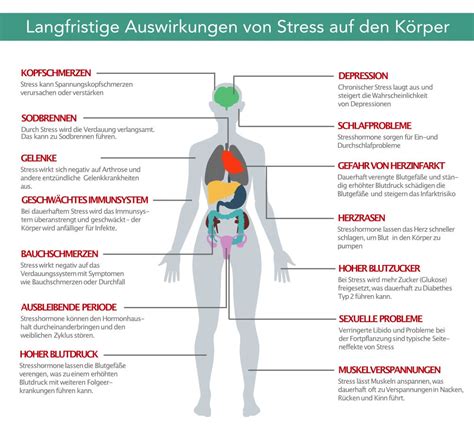 Infografik: Auswirkungen von Industriezucker auf den Körper