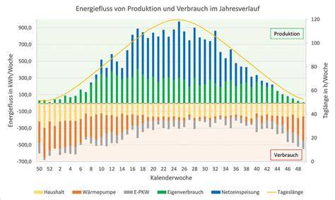 Infografik: Bärenzahngebiss, Energiebedarf, Honig- und Larvenanteil im Jahresverlauf