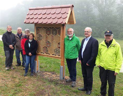 Infografik: Bau eines Wildbienenhauses aus Hartholz