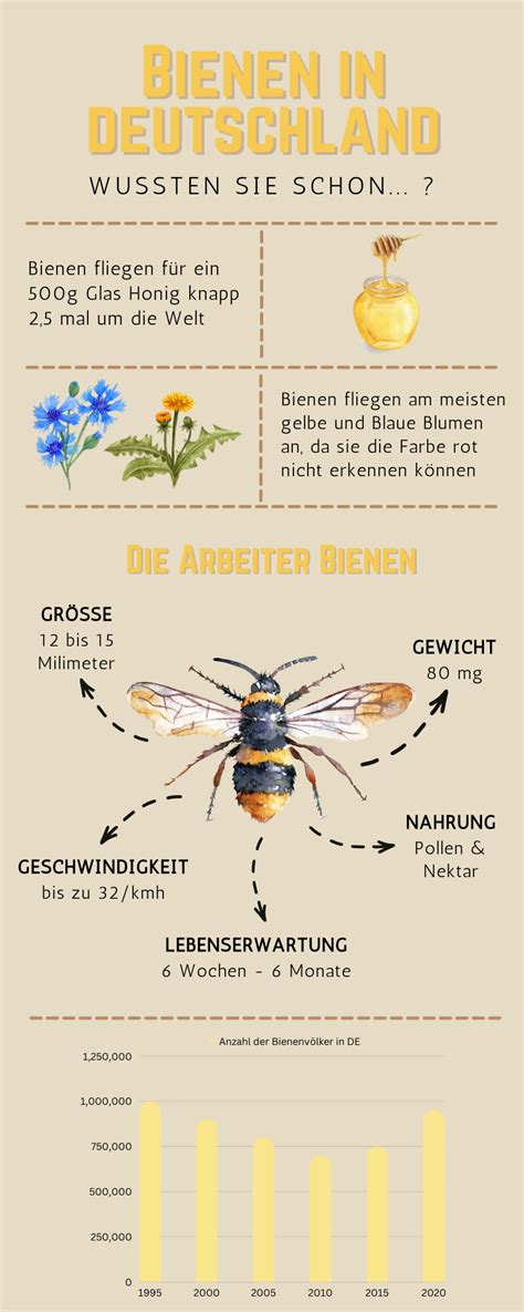 Infografik: Bedeutung der Bienen für die Natur und Artenvielfalt