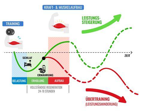 Infografik: Belastungen beim Pakettransport (Stöße, Druck, Witterung)
