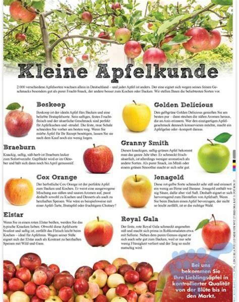 Infografik: Beliebte Apfelsorten für veganen Apfelkuchen