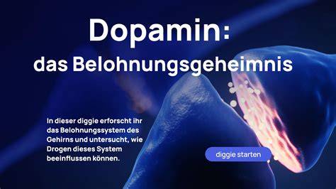 Infografik: Belohnungssystem und Dopaminfreisetzung nach Zuckerkonsum