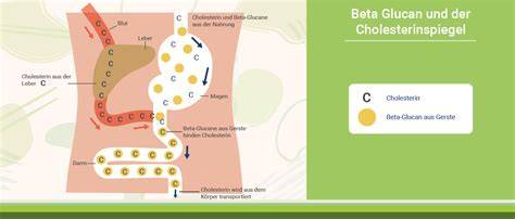 Infografik: Beta-Glucan und Cholesterin
