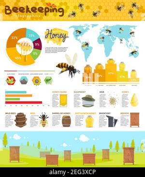 Infografik: Bienen, Honigproduktion & Umweltbeitrag